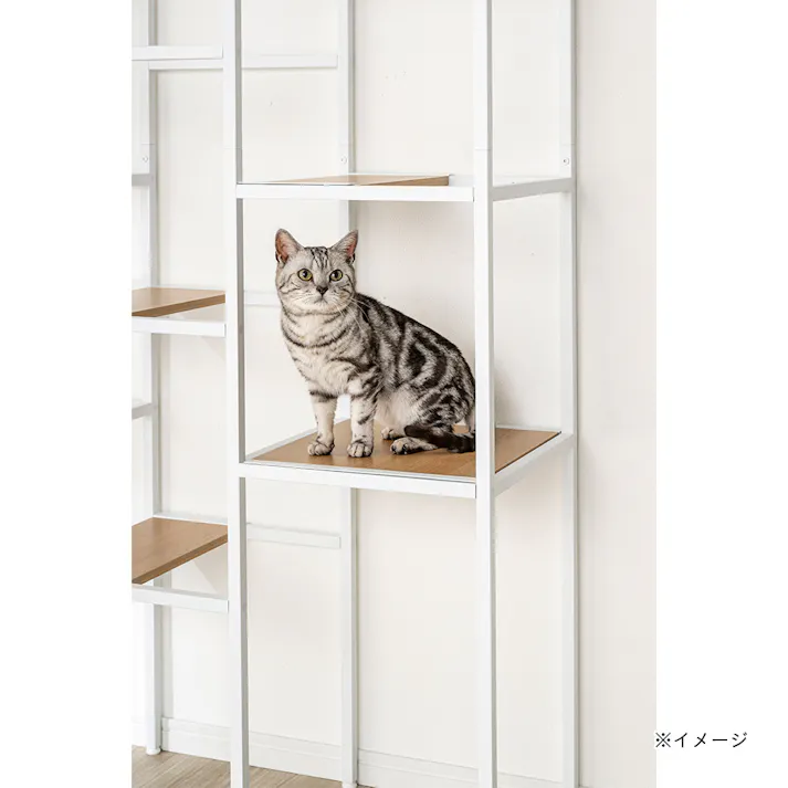 キャットインテリアシェルフ用ステップ