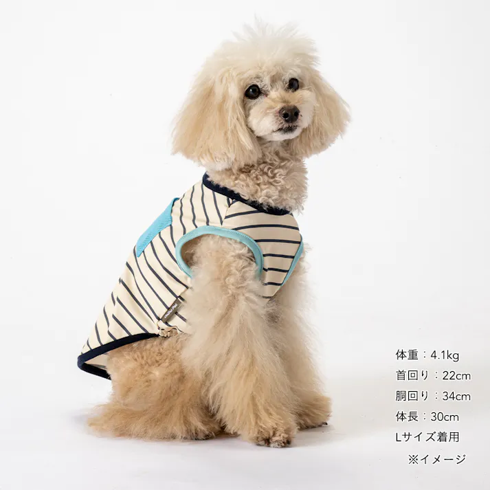【送料無料】もっとひんやりポケット付タンクトップ MDサイズ ペット服(犬の服)