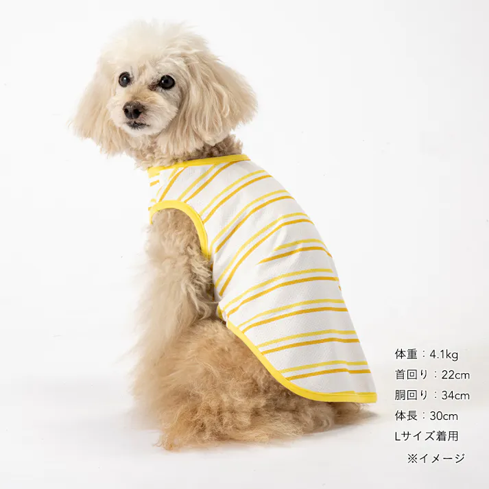 【送料無料】ひんやりボーダータンクトップ イエロー Mサイズ ペット服(犬の服)