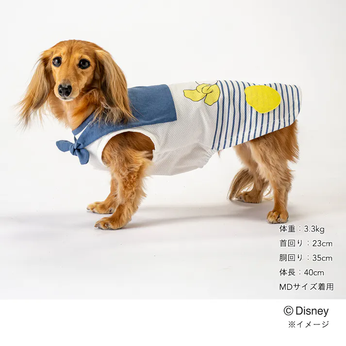【送料無料】ひんやりセーラー切替タンクトップ ドナルドダック MDサイズ ペット服(犬の服)