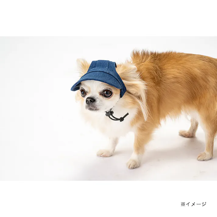 【送料無料】帽子 S ネイビー ペット服(犬の服)