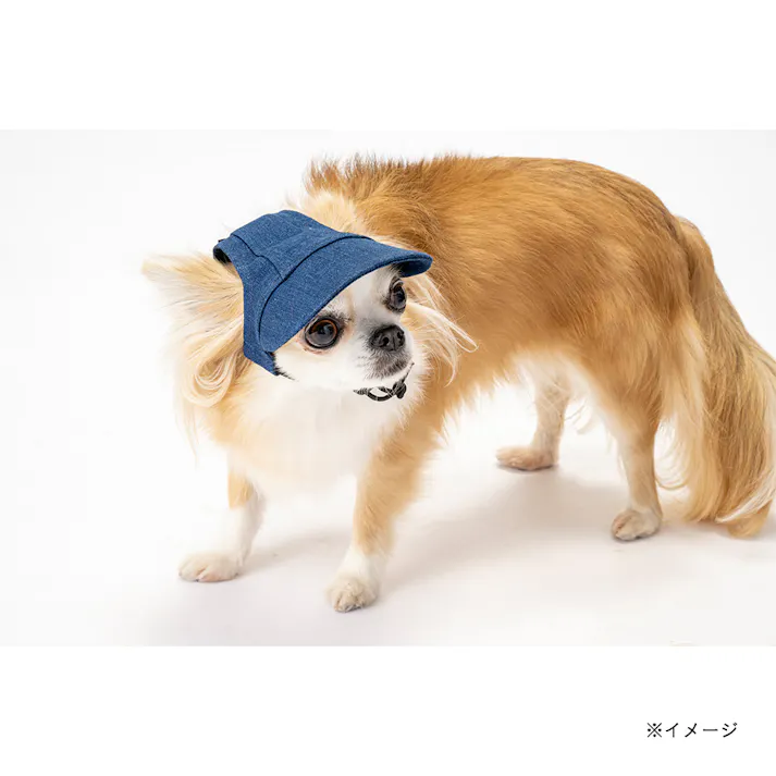 【送料無料】帽子 M ネイビー ペット服(犬の服)