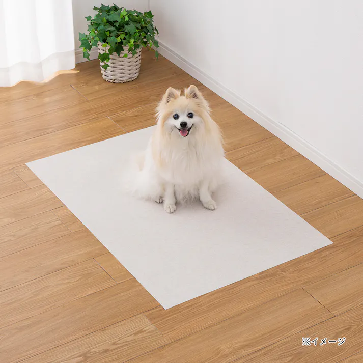 消臭マットカーペット 幅60cm 奥行90cm