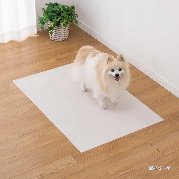 消臭マットカーペット 幅60cm 奥行90cm