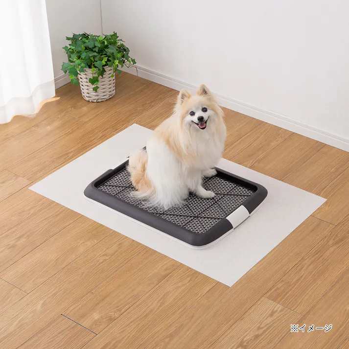 消臭マットカーペット 幅60cm 奥行90cm