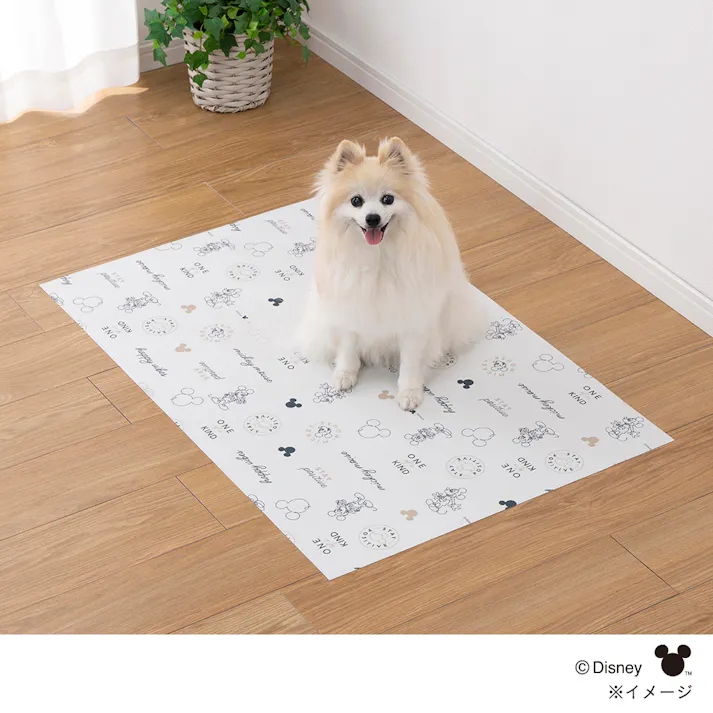 消臭マット ミッキーマウス 幅60cm 奥行90cm