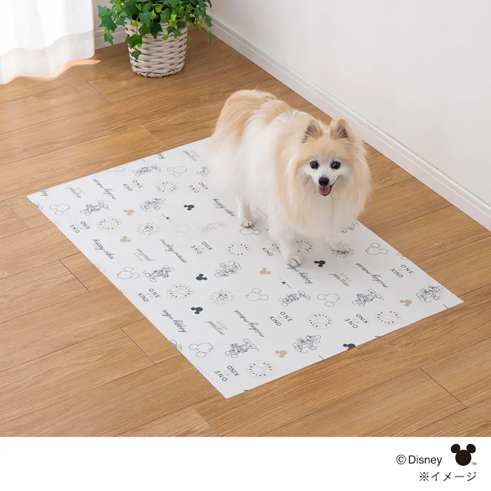 消臭マット ミッキーマウス 幅60cm 奥行90cm
