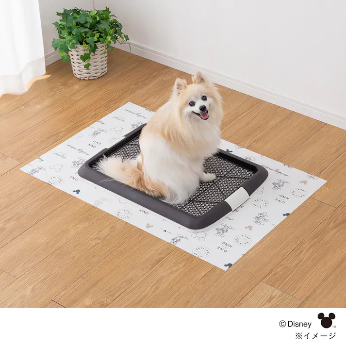消臭マット ミッキーマウス 幅60cm 奥行90cm