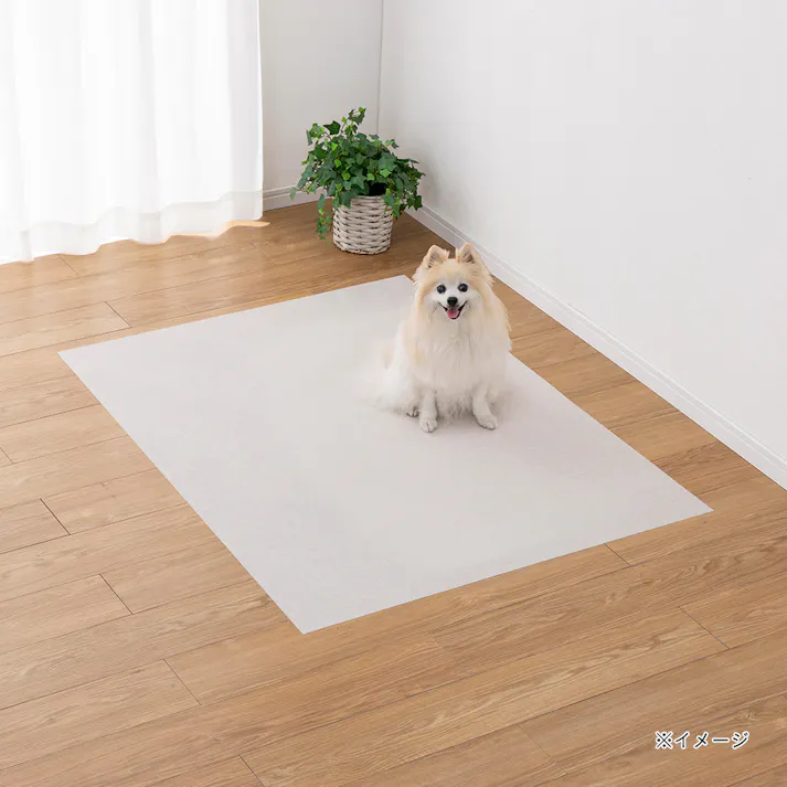 消臭マットカーペット 幅90cm 奥行120cm
