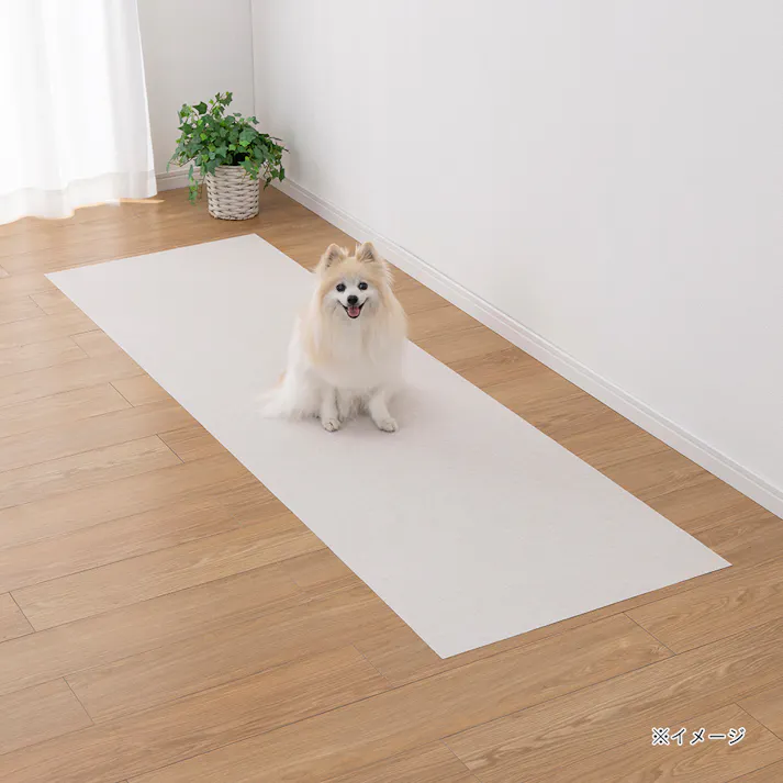 消臭マットカーペット 幅60cm 奥行200cm