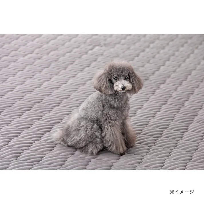 洗えるクッションキルトラグ 幅185cm 奥行185cm シルバー