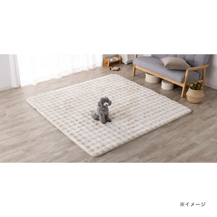 洗えるラグ ボリューム+ Pitapa 幅190cm 奥行240cm シロクマ アイボリー