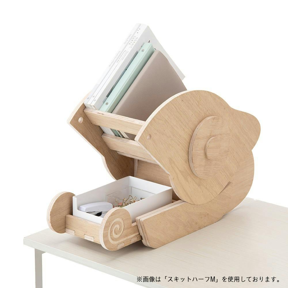 【CDM】ハコレオン 小物がしまえるファイルボックス【別送品】