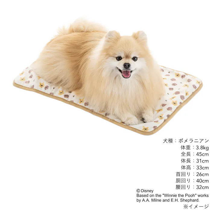 ブランケット Sサイズ くまのプーさん
