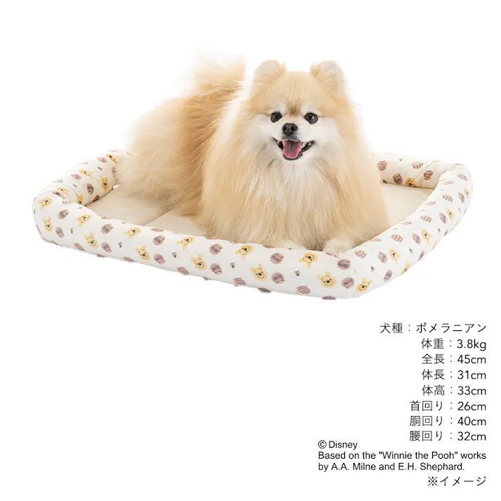 クッションマット Mサイズ くまのプーさん