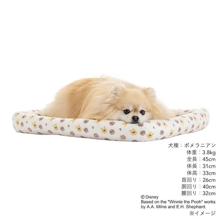 クッションマット Mサイズ くまのプーさん