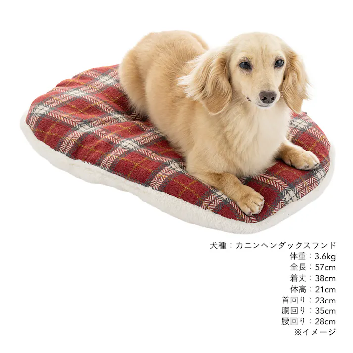 クッション Lサイズ チェックレッド