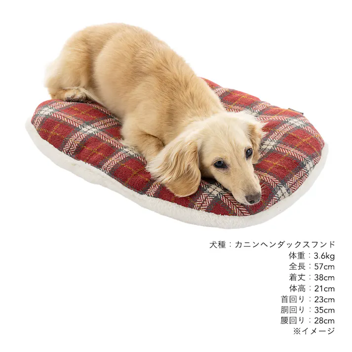 クッション Lサイズ チェックレッド
