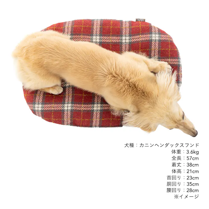 クッション Lサイズ チェックレッド