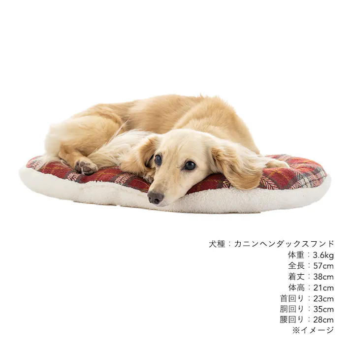 クッション Lサイズ チェックレッド
