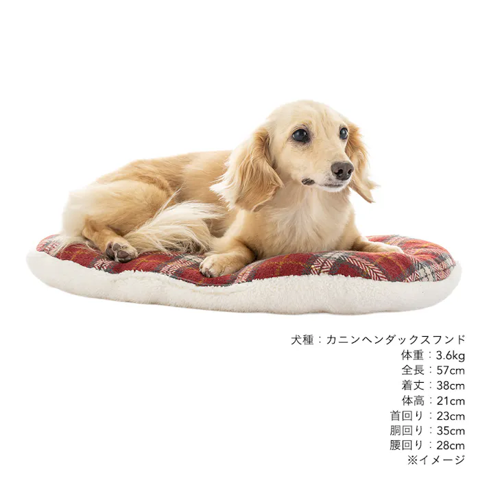 クッション Lサイズ チェックレッド