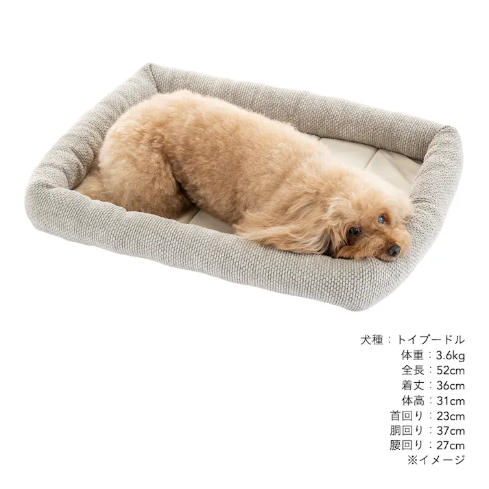 クッションマット Mサイズ シュニールグレー