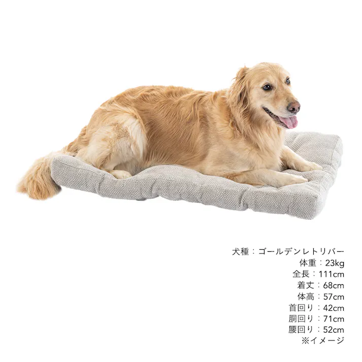 ジャンボクッション シュニールグレー