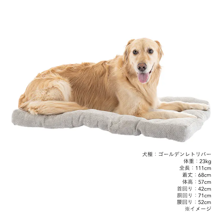 ジャンボクッション シュニールグレー