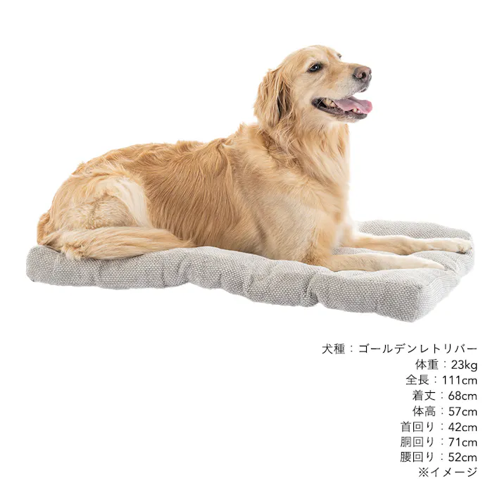 ジャンボクッション シュニールグレー