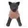 【送料無料】反射ニット MDサイズ ピンク ペット服(犬の服)