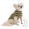 【送料無料】トレーナーボーダー Sサイズ カーキ ペット服(犬の服)