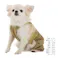 【送料無料】オーバーオール MDサイズ グリーン ペット服(犬の服)
