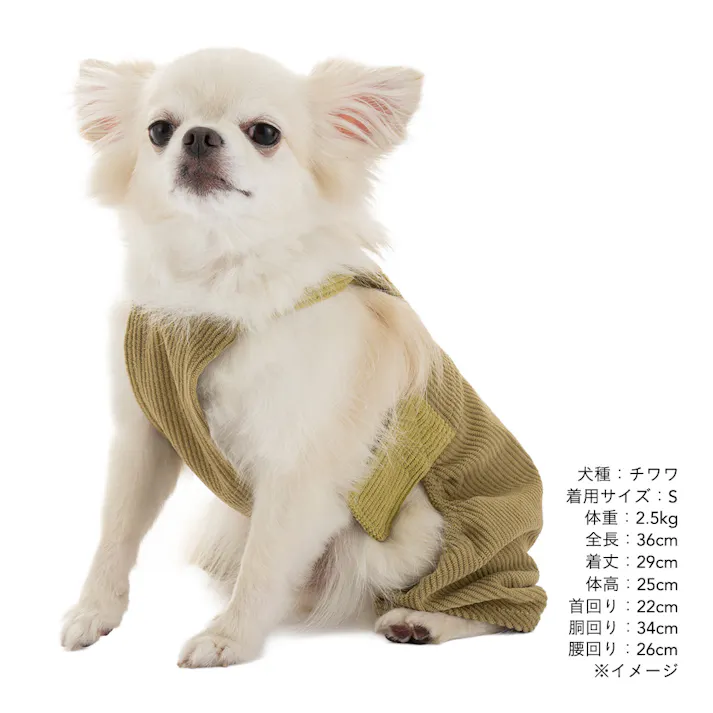 【送料無料】オーバーオール MDサイズ グリーン ペット服(犬の服)