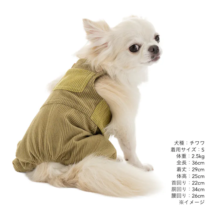 【送料無料】オーバーオール MDサイズ グリーン ペット服(犬の服)