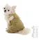 【送料無料】オーバーオール MDサイズ グリーン ペット服(犬の服)
