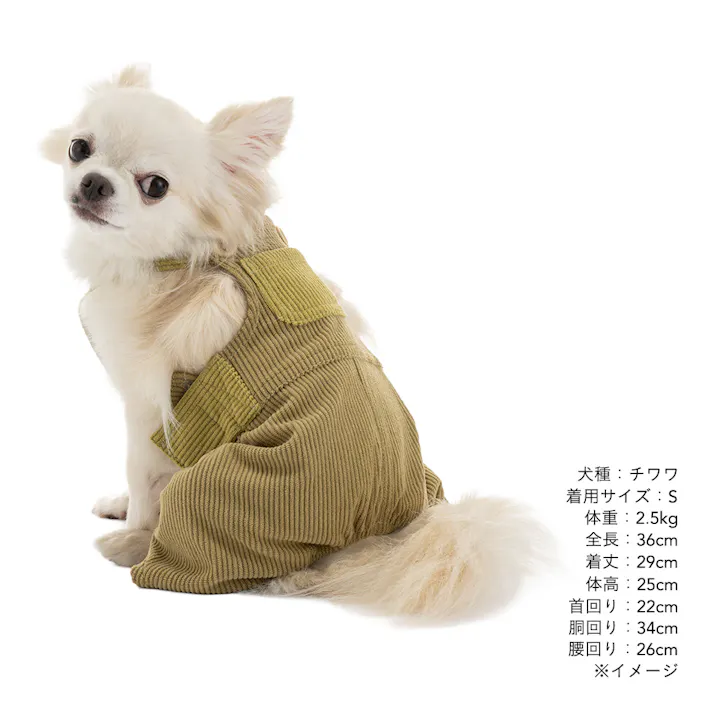 【送料無料】オーバーオール MDサイズ グリーン ペット服(犬の服)