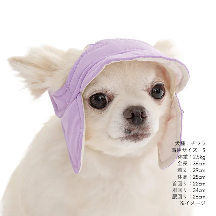 【送料無料】ダウン調帽子 Mサイズ パープル ペット服(犬の服)