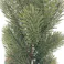ミニツリー グリーン 30cm
