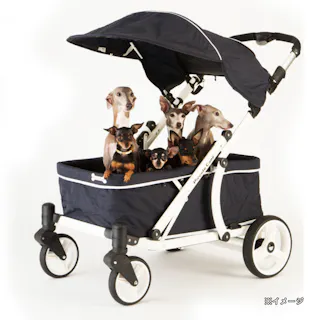 ピッコロカーネ クレア ネイビー【別送品】