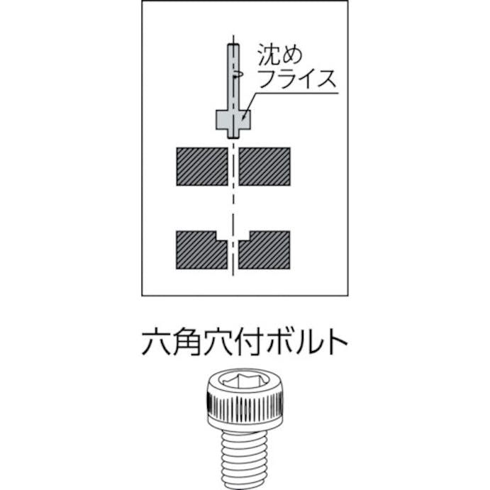 【CAINZ-DASH】フクダ精工 沈めフライス３ CB-3【別送品】