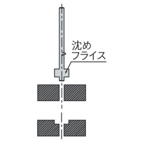 CAINZ-DASH】フクダ精工 ロングシャンク沈めフライス５ LS-CB5【別送品