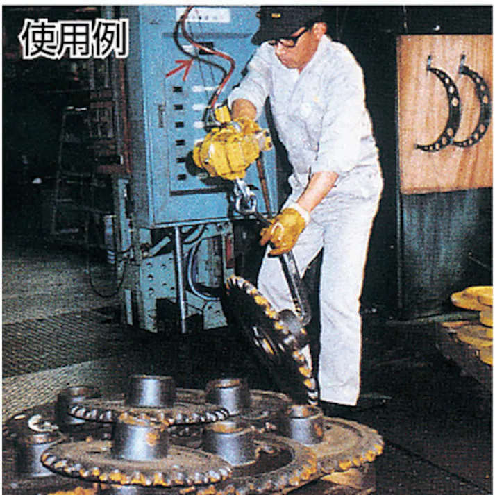 【CAINZ-DASH】遠藤工業 エアーホイスト EHW-60 60kg 1.9M 0.6MPa EHW-60【別送品】