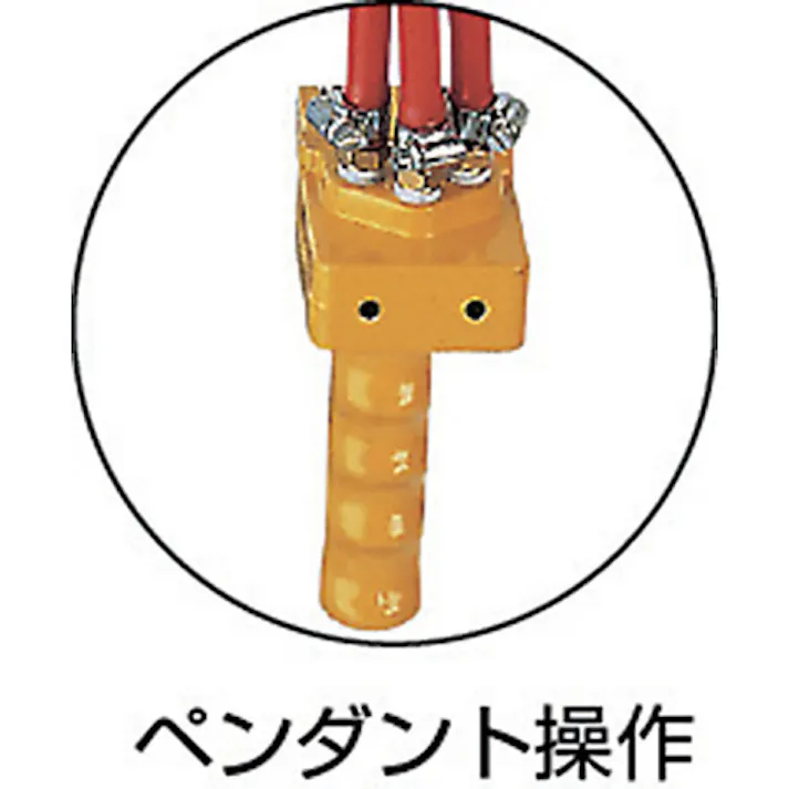 【CAINZ-DASH】遠藤工業 エアーホイスト AT-125K 125kg 3m AT-125K【別送品】