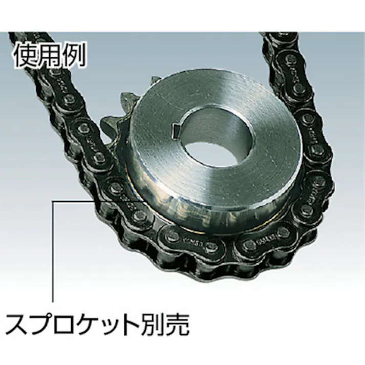 【CAINZ-DASH】片山チエン KCM ローラチェーン100RP 100-1RP96L【別送品】
