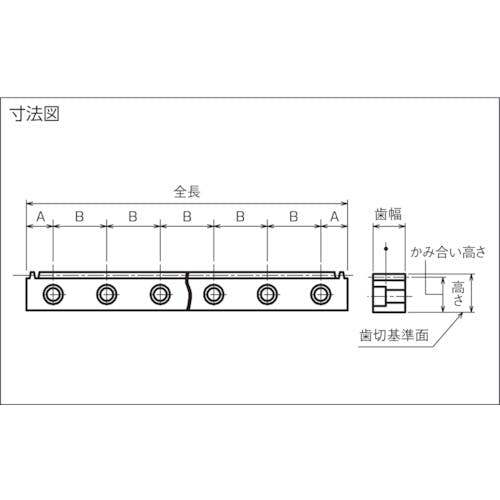 CAINZ-DASH】片山チエン ラックギヤＭ２ KFH2-1000【別送品