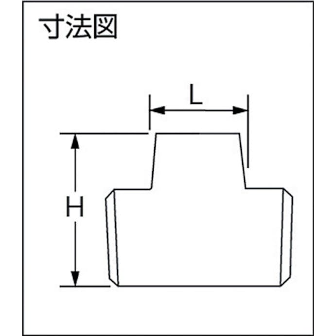 【CAINZ-DASH】イノック 四角プラグ　２０Ａ 304P20A【別送品】