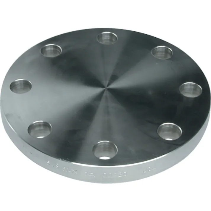 【CAINZ-DASH】イノック ブラインドフランジ SUS304 BF 5K 40A 304BF5K40A【別送品】
