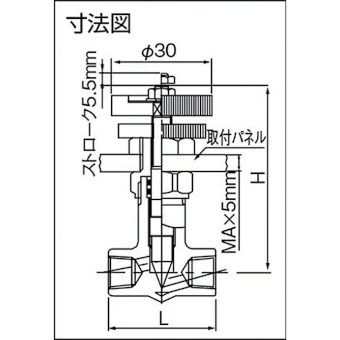 【CAINZ-DASH】アソー ニードルバルブ　チッコロ－α　内×内ネジ型　ＰＴ１／８ SW-1011【別送品】