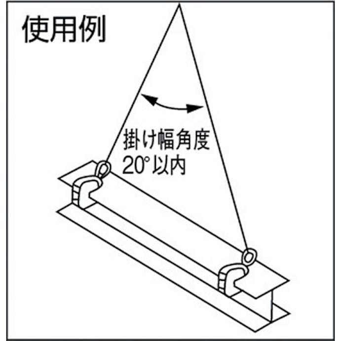 【CAINZ-DASH】日本クランプ 横つり専用クランプ　２．０ｔ ECX-2【別送品】