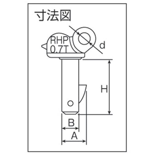 CAINZ-DASH】日本クランプ 穴つり専用クランプ RHP-700【別送品